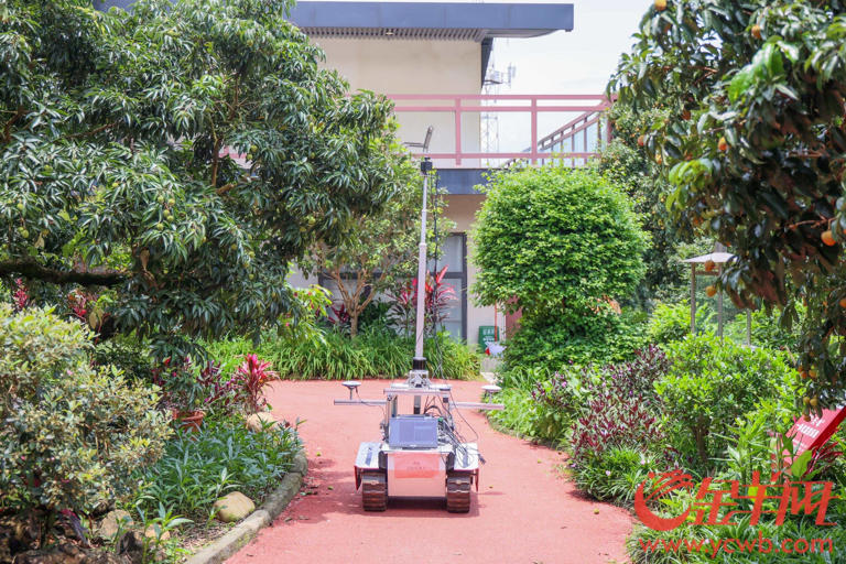 荔枝采摘机器人的背后：科技重塑荔枝产业的经济逻辑(图3)